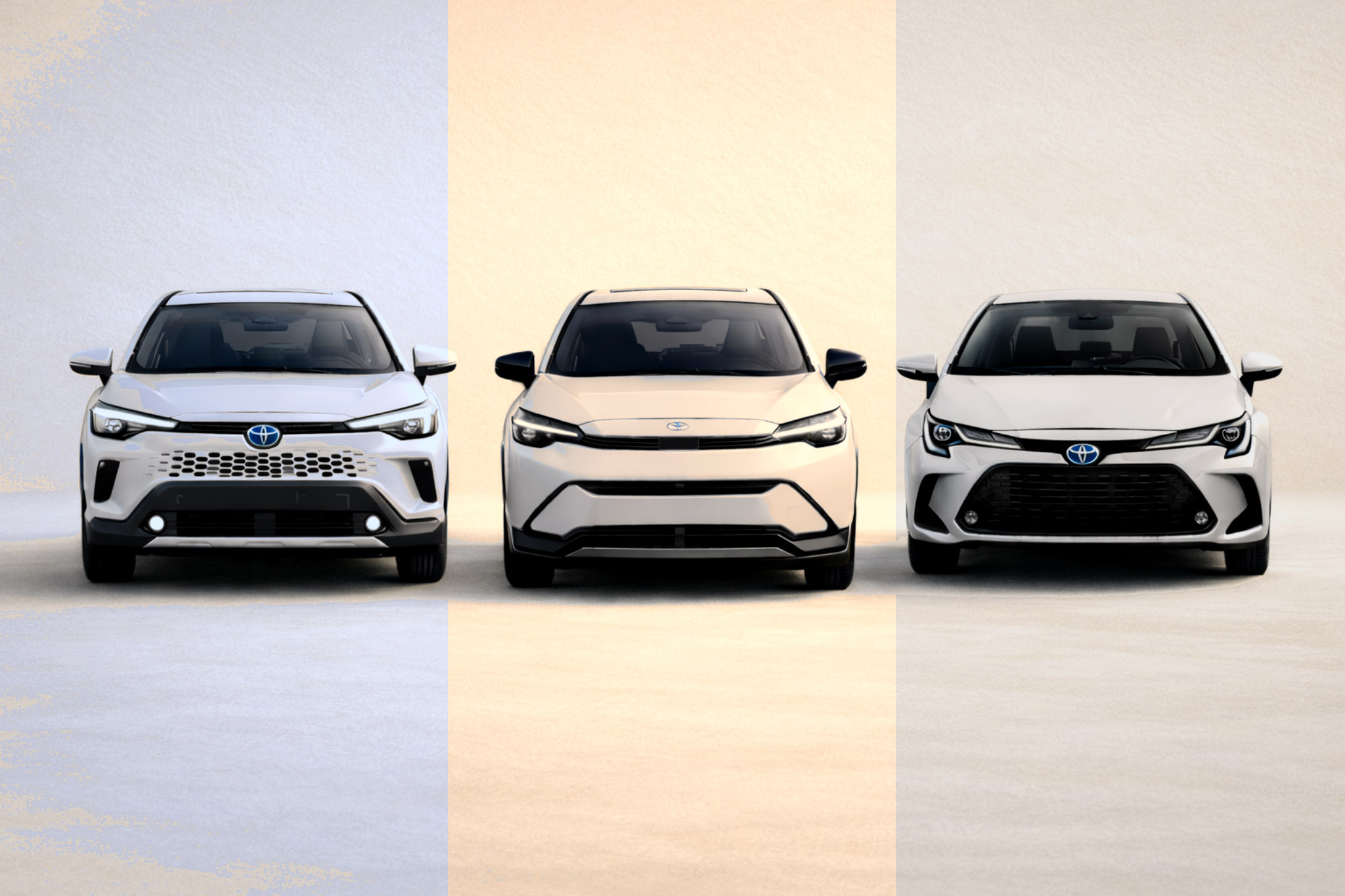 اطلاعیه منتخبین عرضه بهمن‌ ماه ۱۴۰۴